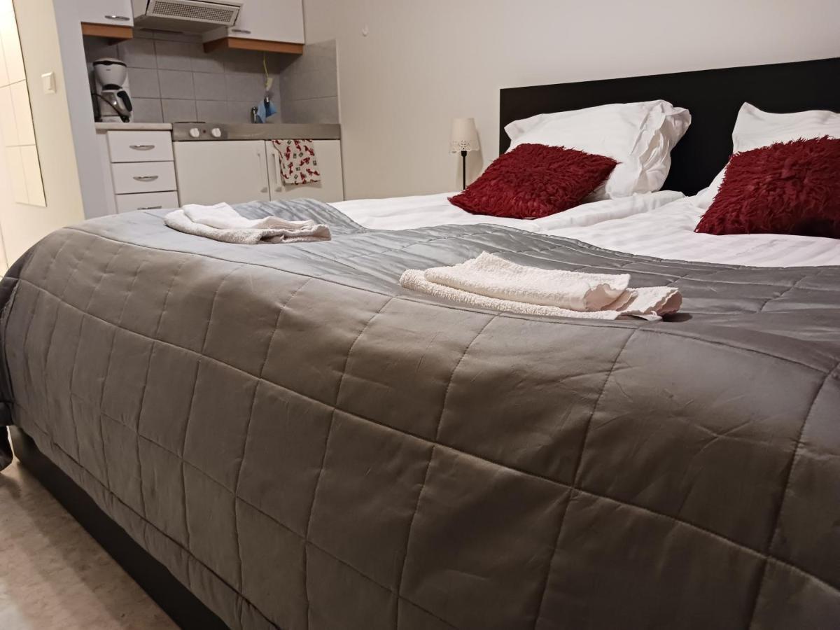 Apartment Raja 罗瓦涅米 外观 照片